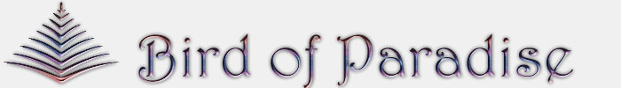 Welcome To Bird of Paradise Designs